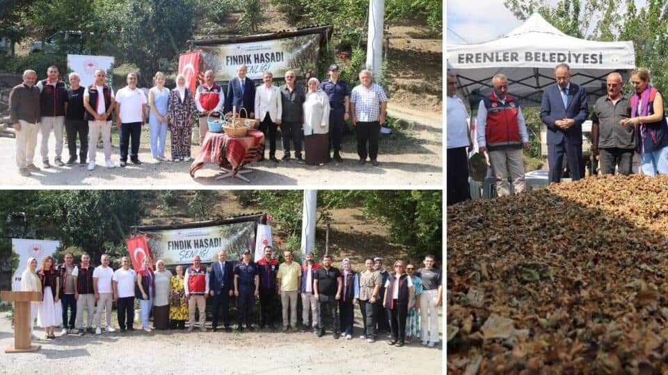 Değirmendere’de Fındık Hasat Şenliği Düzenlendi