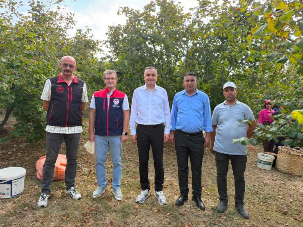 Elmalı Mahallesi’nde Fındık Hasadı Devam Ediyor
