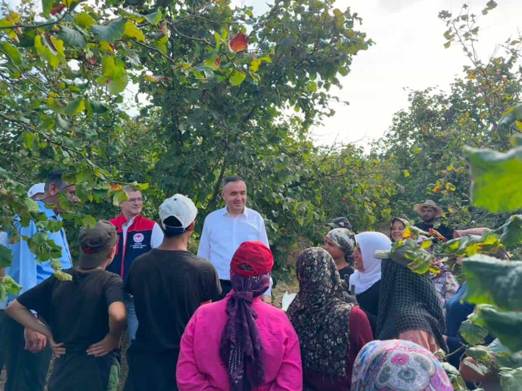 Elmalı Mahallesi’nde Fındık Hasadı Devam Ediyor