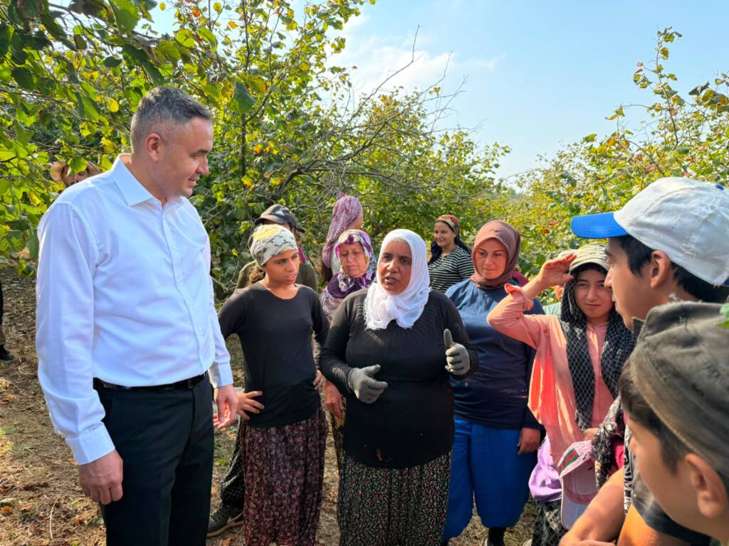 Elmalı Mahallesi’nde Fındık Hasadı Devam Ediyor
