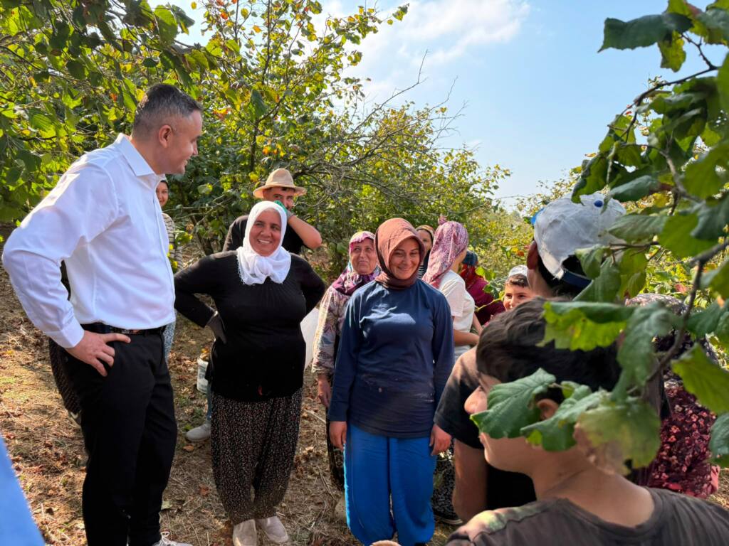 Elmalı Mahallesi’nde Fındık Hasadı Devam Ediyor