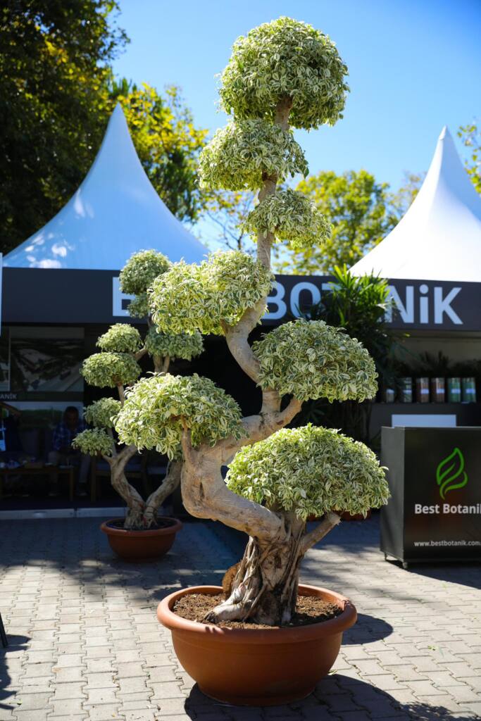 PSB Anatolia Fuarı Sakarya’da Açıldı