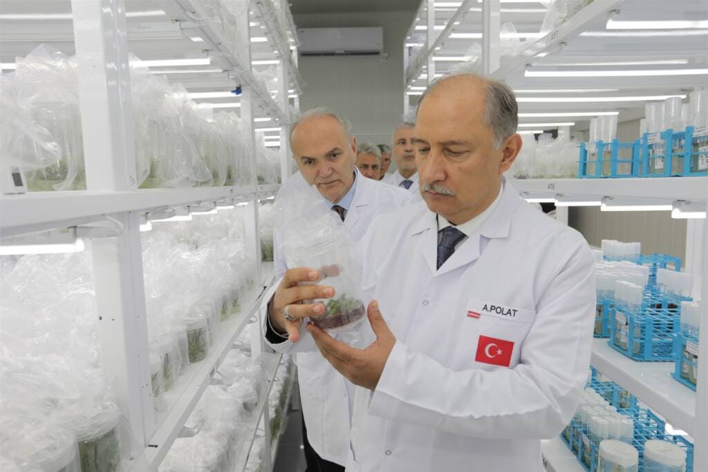Sapanca Doku Kültürü Laboratuvarı Tarımda Örnek Üretim Modeli