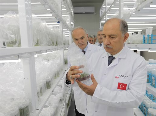 Sapanca Doku Kültürü Laboratuvarı Tarımda Örnek Üretim Modeli
