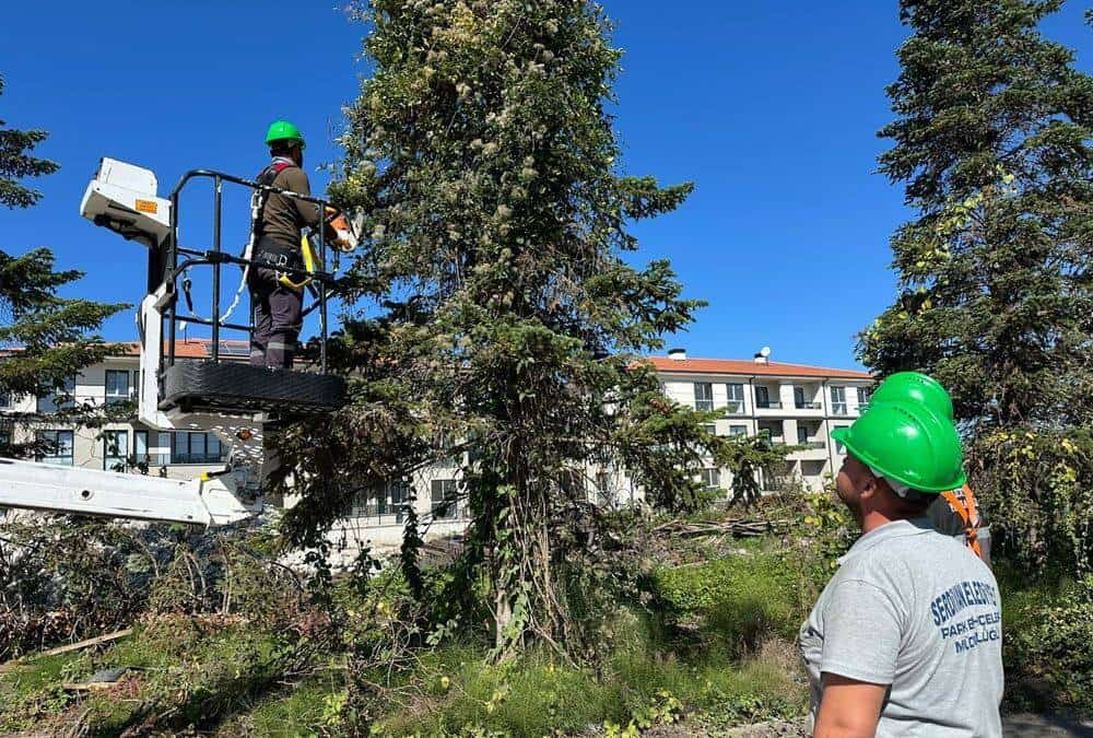 Serdivan Belediyesi Yüksekte Güvenli Çalışma Eğitimi Verdi
