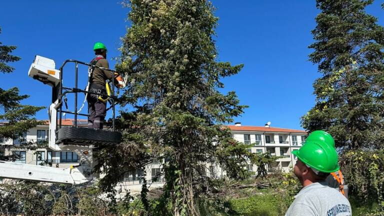 Serdivan Belediyesi Yüksekte Güvenli Çalışma Eğitimi Verdi