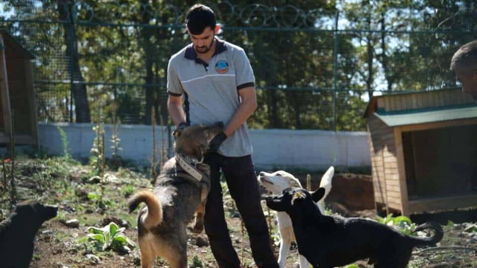 Serdivan’da Can Dostlar İçin Dijital Sahiplendirme Başladı