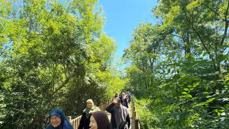 YADEM 16 İlçede Yaşlılara Kesintisiz Destek Veriyor