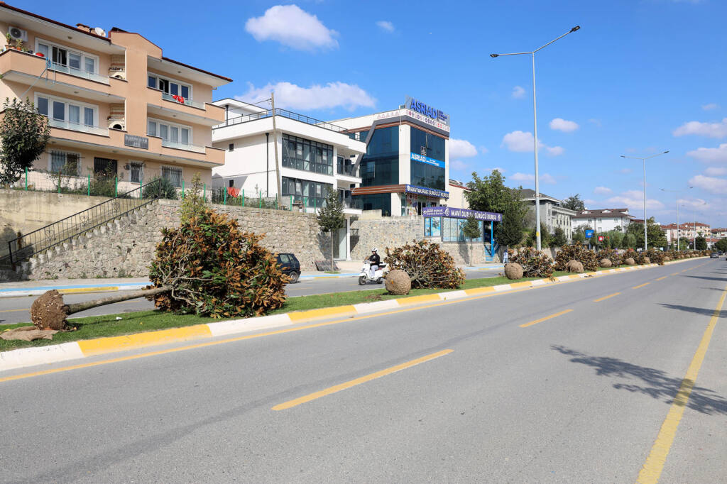 Adapazarı-Serdivan Tramvay Hattı İçin Ağaçlar Taşınıyor